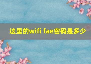 这里的wifi fae密码是多少